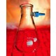 FLASK FILTRATION 100ML ERLENMEYER-SHAPE 