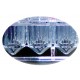  MICROPLAT 96 WELLS WITH 