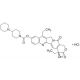 Irinotekano hidrochloridas topoizomerazės inhibitorius topoizomerazės inhibitorius