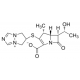 Biapenemas >=98% (HPLC) >=98% (HPLC)
