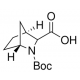 (1R,3S,4S)-N-Boc-2-azabiciklo[2.2.1]heptan-3-karboksilinė rūgštis, 97%,