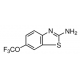 RILUZOLE GLUTAMATE RELEASE INH 