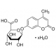 4-METHYLUMBELLIFERYL BETA-D-GLUCURONIDE& 