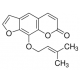 Imperatorinas >=98% (HPLC), milteliai >=98% (HPLC), milteliai