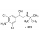 Klenbuterolio hidrochloridas >=95% >=95%