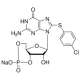 8-(4-Chlorofeniltio)-guanosineo3',5'-ciklik monofosfato natrio druska, ~95% milteliai, 10mg 95% (HPLC), milteliai,