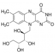 (-)-Riboflavinas, atitinka USP testavimo specifikacijas,