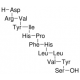 RENIN SUBSTRATE TETRADECAPEPTIDE 
