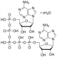 P1,P5-DI(ADENOSINE-5') PENTAPHOSPHATE*AM MONIUM 