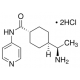 Y-27632 dihidrochloridas >=98% (HPLC) >=98% (HPLC)