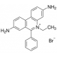Ethidium bromide solution, for fluorescence, ~1% in H2O 