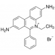 Etidžio bromidas, molek. biolog., 500 ug/mL vand., tinka gel electroforezei ir DNR izoliacijos proced. 5ml 