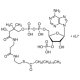 STEAROYL COENZYME A (C18:0) LITHIUM 