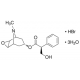 Skopolamino hidrobromidas, USP, 5g 