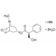 (-)-Skopolamino hidrobromido trihidratas, >=98% (HPLC), milteliai, >=98% (HPLC), milteliai,