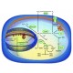 SUPEROXIDE DISMUTASE FROM BOVINE LIVER 