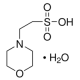 MES monohidratas BioUltra, skirtas molekulinei biologijai, >=99.5% (T) BioUltra, skirtas molekulinei biologijai, >=99.5% (T)