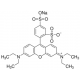 Sulforodaminas B, natrio druska, tinkantis ląstelių kultūroms, Mw 580,65 g/mol, 1g 
