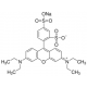 SULFORHODAMINE B SODIUM SALT BIOREAGENT, SUITABLE FOR CELL CULTURE 