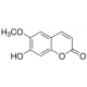 SCOPOLETIN 