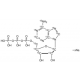 Adenozino-13C10,15N5 5'-trifosfato natrio druskos tirpalas, 98 atomų % 13C, 98 atomų % 15N, Tiekiamas kaip natrio druska 100 mM tirpale vandenyje, su 5 mM Tris buferinis, 90% (CP),