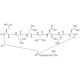 SURFACTIN FROM BACILLUS SUBTILIS 