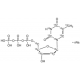 TTP-13C10,15N2 SOD SALT 98 ATOM% 13C, 9 