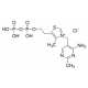 THIAMINE PYROPHOSPHATE 