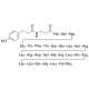 DEAMINO-TYR, B-ALA-SECRETIN 