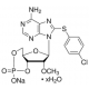 8-(4-chlorfeniltio)-2'-O-metiladenozino 3',5'-ciklinio monofosfato mononatrio hidratas, >=98% (HPLC), >=98% (HPLC),