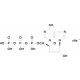 CORDYCEPIN 5'-TRIPHOSPHATE SODIUM 