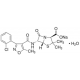 Kloksacilino natio druskos monohidratas beta-laktamazei-atsparus antibiotikas beta-laktamazei-atsparus antibiotikas