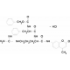 N-CBZ-PHE-ARG 7-AMIDO-4-METHYLCOUMARINHY DROCHLORID 