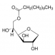 SPAN(R) 20 