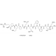 SUBSTANCE P ACETATE SALT HYDRATE 