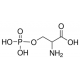 O-PHOSPHO-DL-SERINE >= 98.0% (NT) 