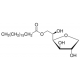 SPAN(R) 60 