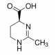 ECTOINE 