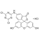 5-((4,6-DICHLOROTRIAZIN-2-YL)AMINO)FLUOR 