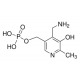 PYRIDOXAMINE-5'-PHOSPHATE >= 98.0% (HPLC) 