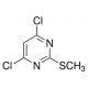 3,7-Dimetilksantin-(dimetil-d6), 98 atomų % D, 98% (CP),