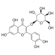 QUERCETIN-3-D-GALACTOSIDE 