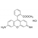 Rodaminas 123, 25mg 