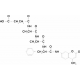 N-SUCCINYL-ALA-ALA-PHE 7-AMIDO-4-*METHYL COUMARIN 
