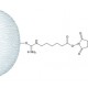 N-HYDROXYSUCCINIMIDE-ACTIVATED*SEPHAROSE  4 FAST FLO 