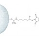 N-HYDROXYSUCCINIMIDE-ACTIVATED*SEPHAROSE 