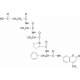 N-SUCCINYL-ALA-ALA-PRO-PHE-7-AMIDO-4-METHYLCOUMARIN 