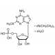 2-Metiltioadenosino 5'-monofosfato trietilamonio druskos hidratas, kietas, >=98% (HPLC), kietas, >=98% (HPLC),