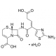 Ceftibuteno hidratas >=98% (HPLC) >=98% (HPLC)