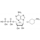 Adenozin 5-difosfato bis(cikloheksilamonio) druska, >=95% (HPLC), kristalinis, bakterinis, >=95% (HPLC), kristalinis, bakterinis